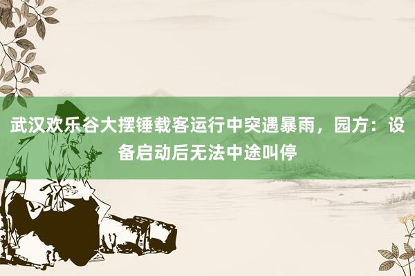 武汉欢乐谷大摆锤载客运行中突遇暴雨，园方：设备启动后无法中途叫停