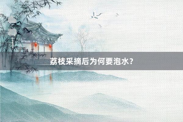 荔枝采摘后为何要泡水？