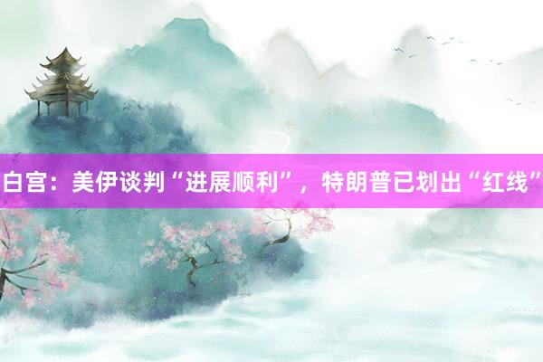 白宫：美伊谈判“进展顺利”，特朗普已划出“红线”