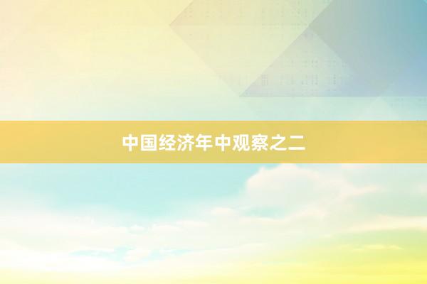 中国经济年中观察之二