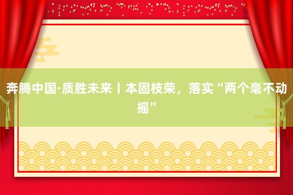 奔腾中国·质胜未来丨本固枝荣，落实“两个毫不动摇”