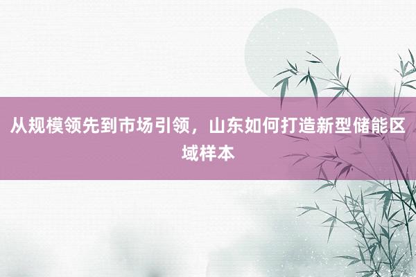 从规模领先到市场引领，山东如何打造新型储能区域样本