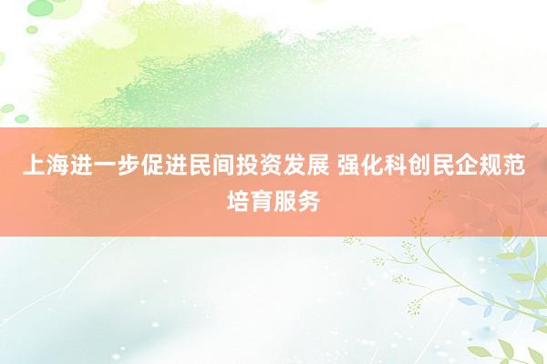 上海进一步促进民间投资发展 强化科创民企规范培育服务