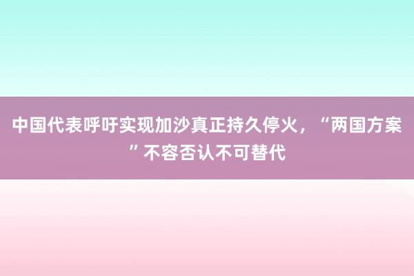 中国代表呼吁实现加沙真正持久停火，“两国方案”不容否认不可替代
