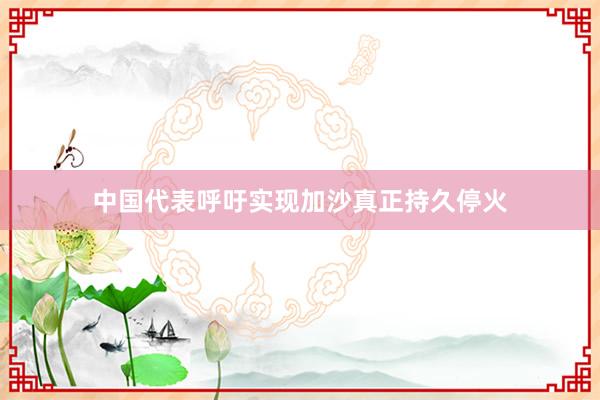 中国代表呼吁实现加沙真正持久停火