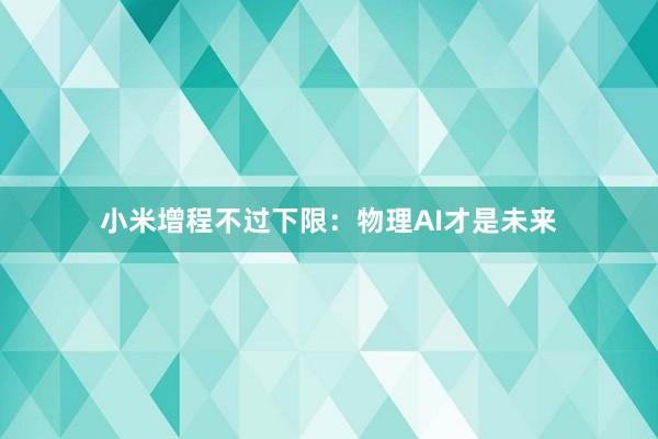 小米增程不过下限：物理AI才是未来