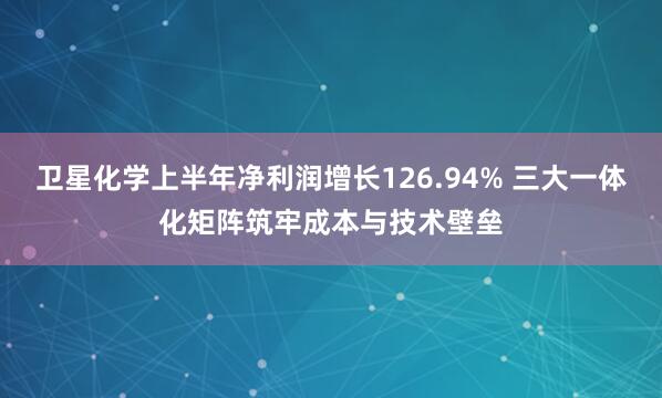 卫星化学上半年净利润增长126.94% 三大一体化矩阵筑牢成本与技术壁垒