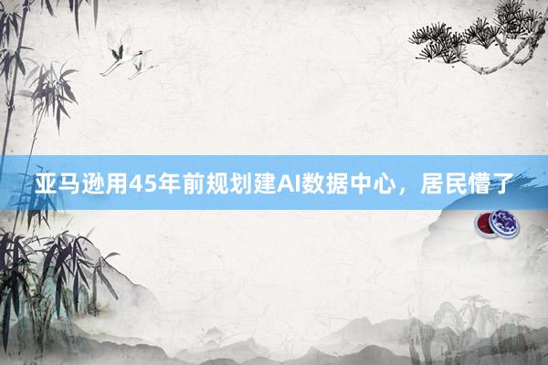 亚马逊用45年前规划建AI数据中心，居民懵了