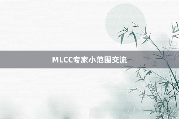 MLCC专家小范围交流