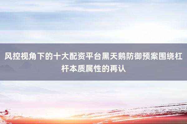 风控视角下的十大配资平台黑天鹅防御预案围绕杠杆本质属性的再认