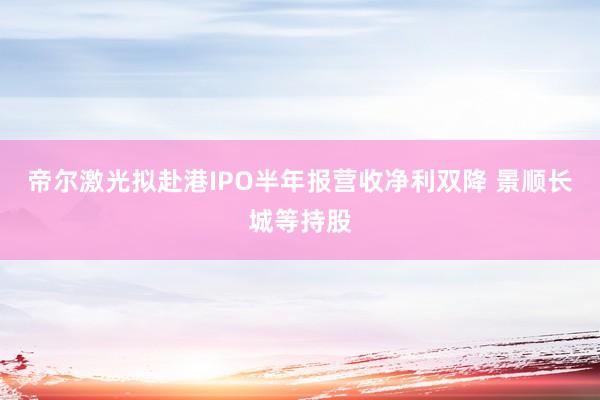 帝尔激光拟赴港IPO半年报营收净利双降 景顺长城等持股