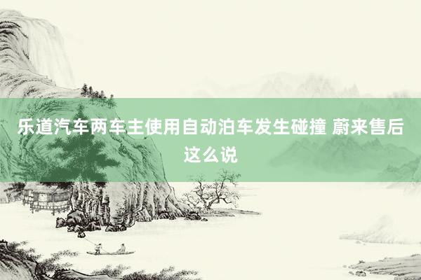 乐道汽车两车主使用自动泊车发生碰撞 蔚来售后这么说