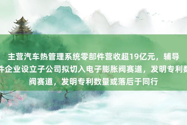 主营汽车热管理系统零部件营收超19亿元，辅导当年与汽车零部件企业设立子公司拟切入电子膨胀阀赛道，发明专利数量或落后于同行