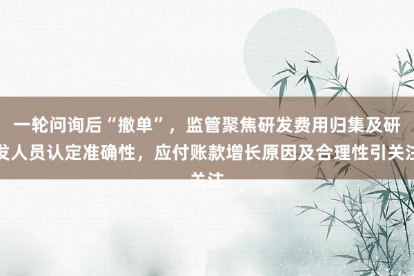 一轮问询后“撤单”，监管聚焦研发费用归集及研发人员认定准确性，应付账款增长原因及合理性引关注