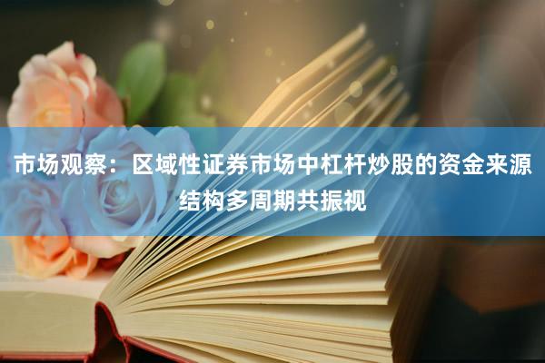 市场观察：区域性证券市场中杠杆炒股的资金来源结构多周期共振视
