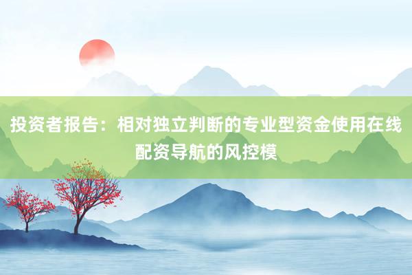 投资者报告：相对独立判断的专业型资金使用在线配资导航的风控模