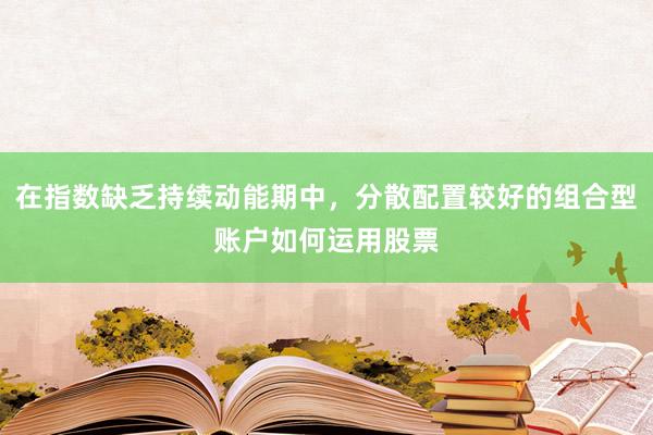 在指数缺乏持续动能期中，分散配置较好的组合型账户如何运用股票