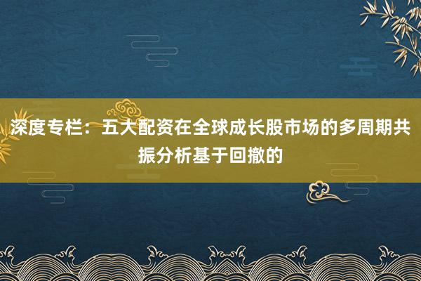深度专栏：五大配资在全球成长股市场的多周期共振分析基于回撤的