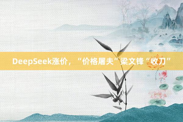 DeepSeek涨价，“价格屠夫”梁文锋“收刀”