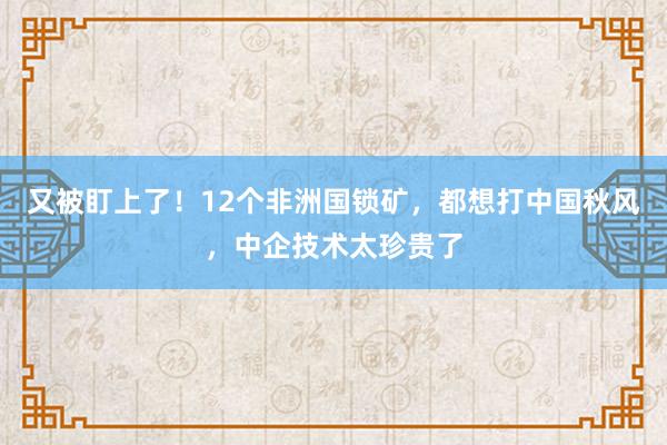 又被盯上了！12个非洲国锁矿，都想打中国秋风，中企技术太珍贵了