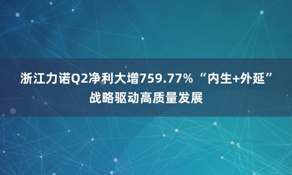 浙江力诺Q2净利大增759.77% “内生+外延”战略驱动高质量发展