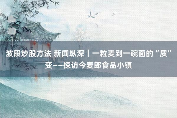 波段炒股方法 新闻纵深｜一粒麦到一碗面的“质”变——探访今麦郎食品小镇