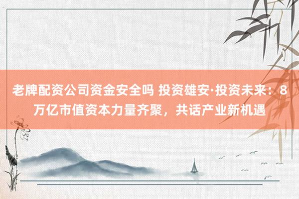 老牌配资公司资金安全吗 投资雄安·投资未来：8万亿市值资本力量齐聚，共话产业新机遇
