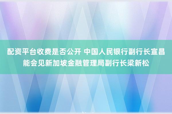配资平台收费是否公开 中国人民银行副行长宣昌能会见新加坡金融管理局副行长梁新松