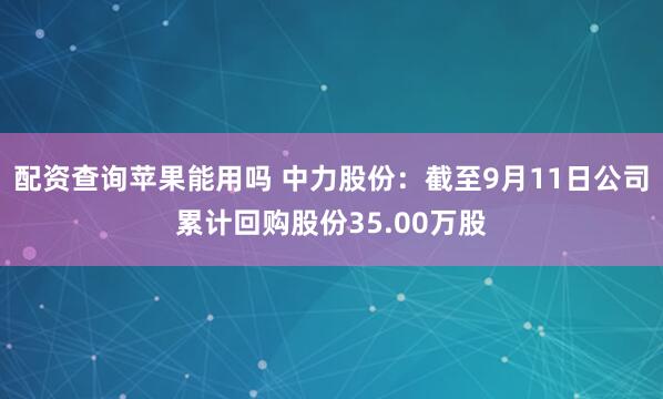 配资查询苹果能用吗 中力股份：截至9月11日公司累计回购股份35.00万股