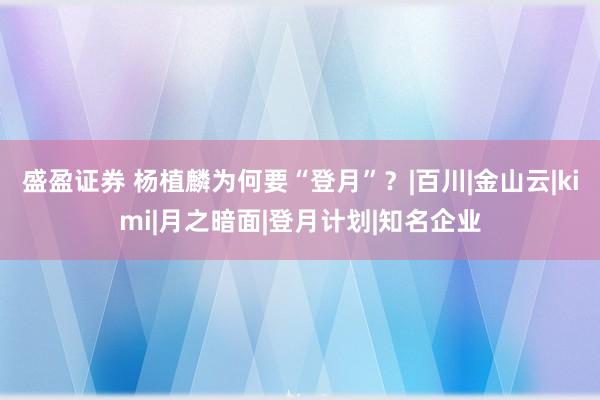 盛盈证券 杨植麟为何要“登月”？|百川|金山云|kimi|月之暗面|登月计划|知名企业