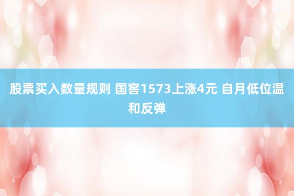 股票买入数量规则 国窖1573上涨4元 自月低位温和反弹