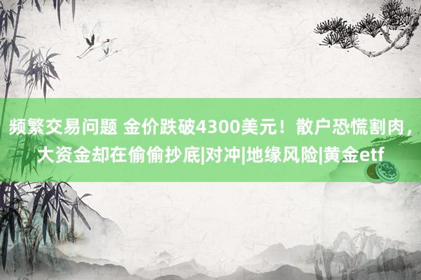频繁交易问题 金价跌破4300美元！散户恐慌割肉，大资金却在偷偷抄底|对冲|地缘风险|黄金etf