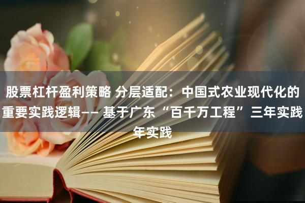 股票杠杆盈利策略 分层适配：中国式农业现代化的重要实践逻辑—— 基于广东 “百千万工程” 三年实践