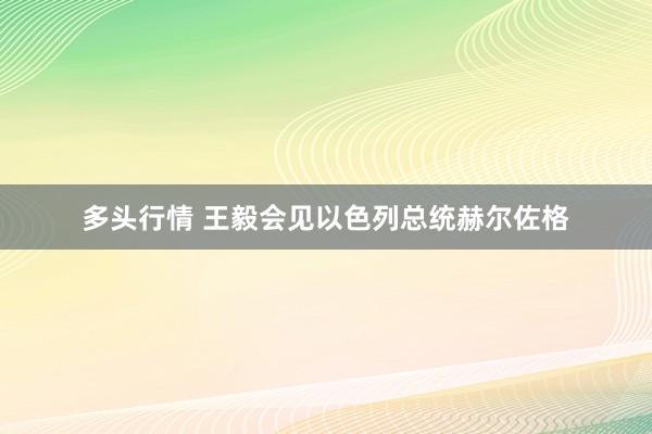 多头行情 王毅会见以色列总统赫尔佐格